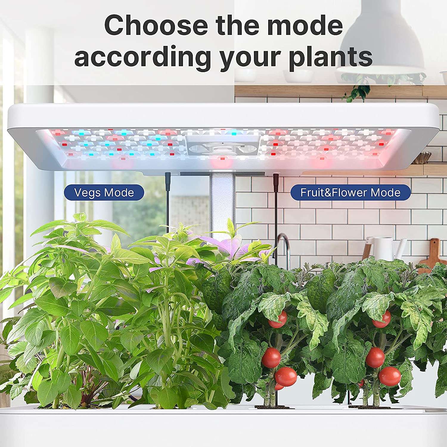 12Pods Hydroponics Growing System