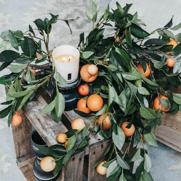 A "Citrus Tree - Orange Citrus Soy Candle" sits on a countertop next to a decorative box, with vibrant orange citrus fruits and lush green leaves nearby, against a backdrop of white tiled walls.