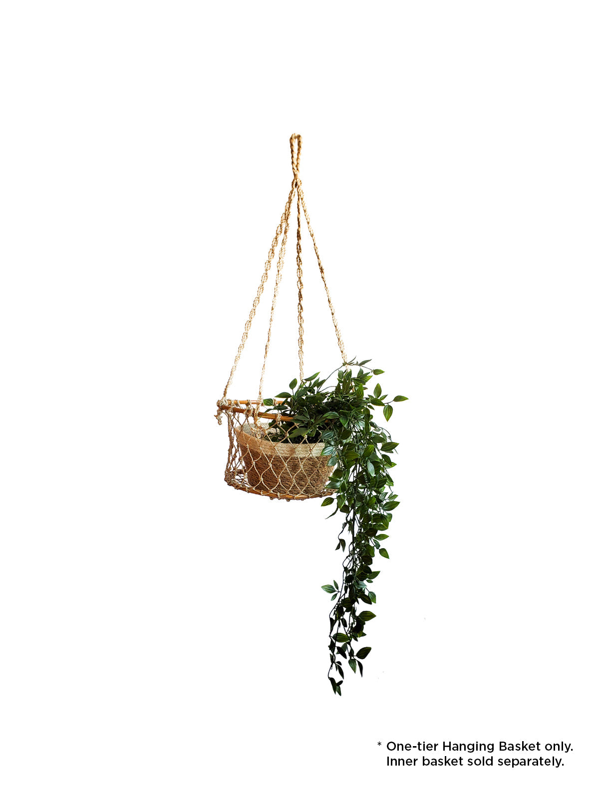 The Jhuri Single Hanging Basket, crafted from natural jute by Fair Trade artisans, cradles a lush plant with trailing green leaves against a plain white background, beautifully combining elegance and sustainability.