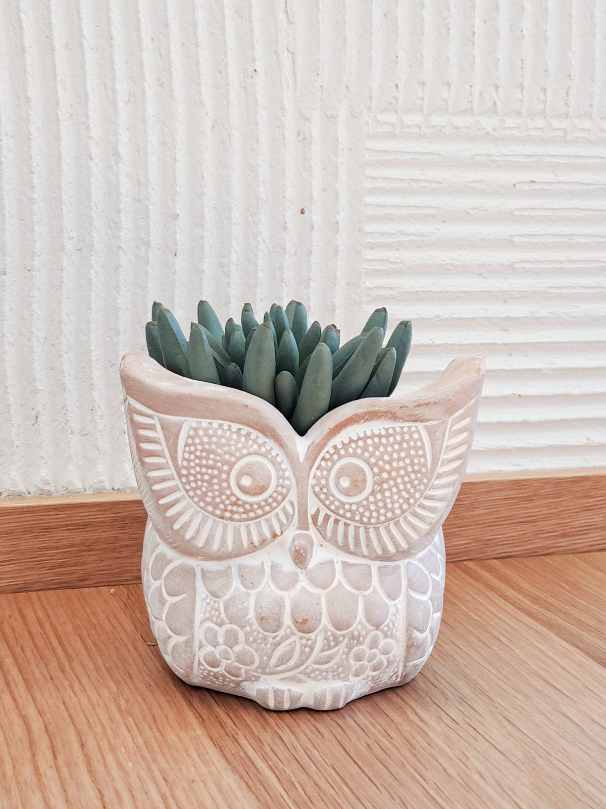 A Terracotta Pot - Big Eye Owl, featuring intricate patterns and large eyes, expertly crafted by skilled Fair Trade artisans, displayed against a plain white background.
