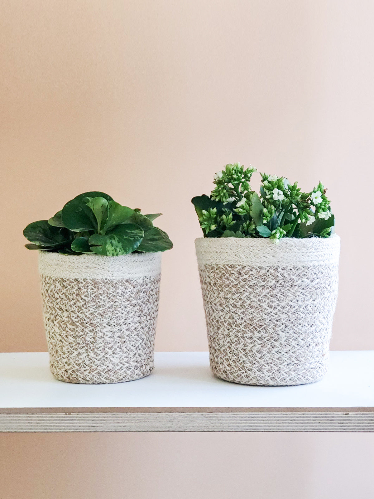 The Agora Plant Baskets in a light brown and cream pattern are showcased side by side on a plain white background, highlighting sustainable home decor crafted by Fair Trade artisans.