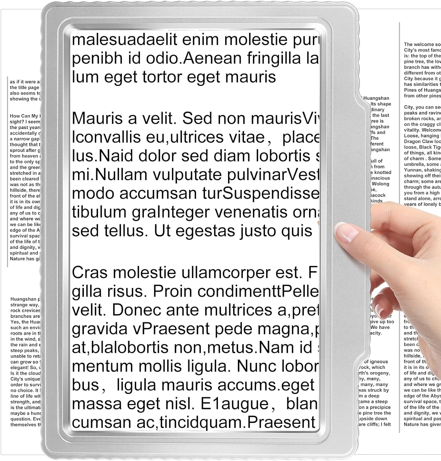 5X Large Page Magnifying Glass for Reading, Full-Page Viewing Area Magnifier Handheld Lightweight Magnifier for Reading Seniors and Low Vision Person Silver