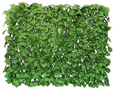 Expandable Fence Privacy Screen