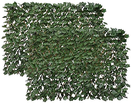 Expandable Fence Privacy Screen
