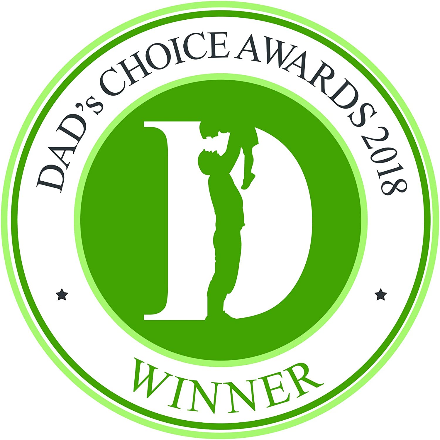 Gravity Maze Marble Run Brain Game