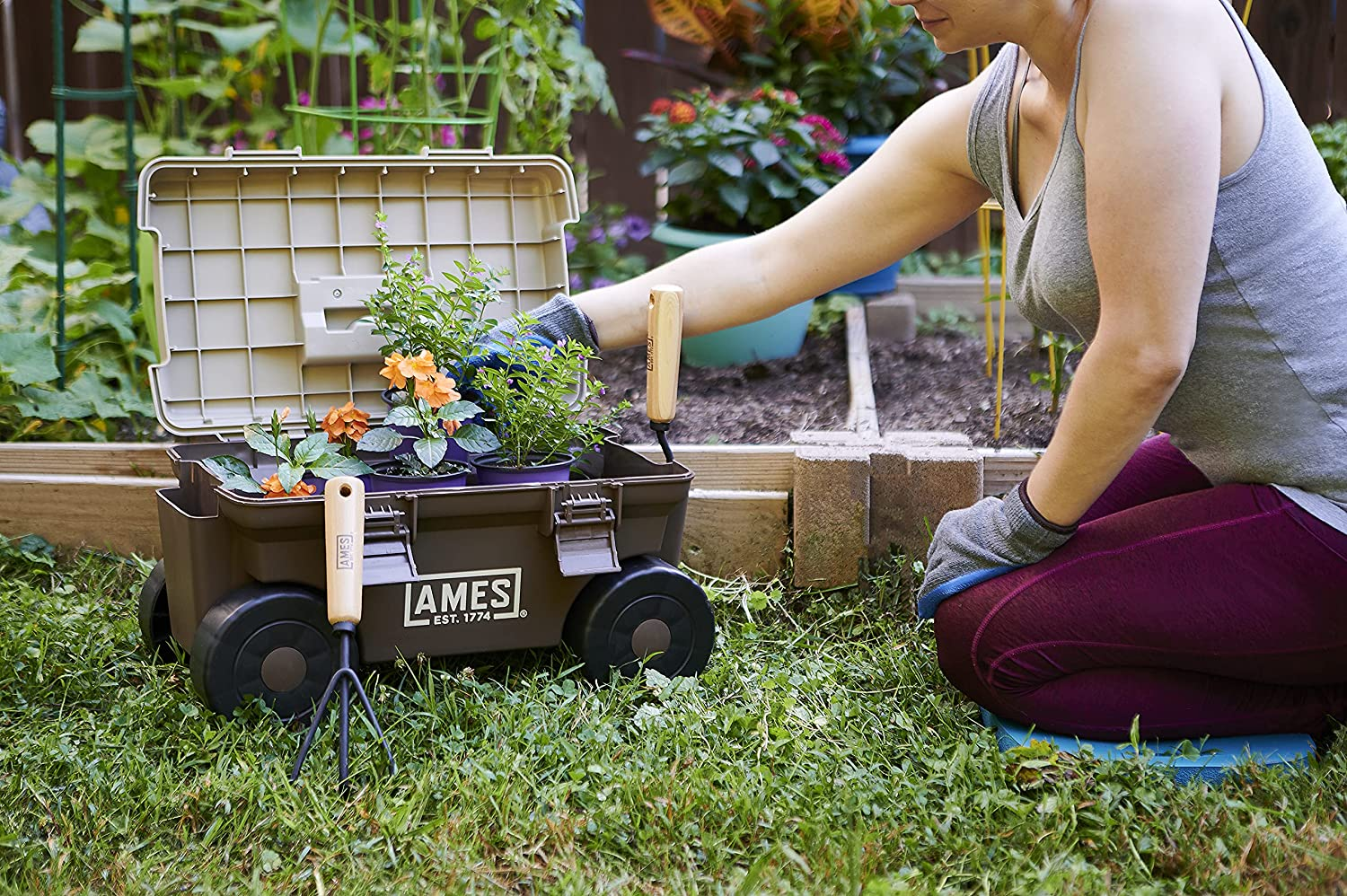 Rolling Lawn & Garden Storage Cart