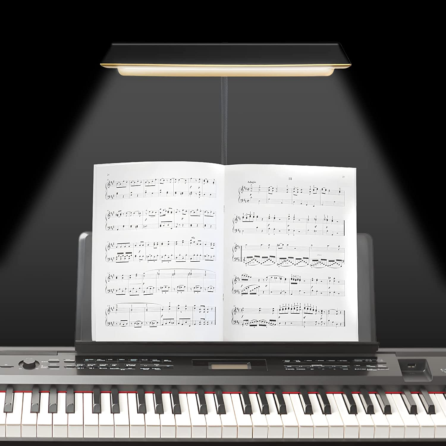 LED Light Music Stand