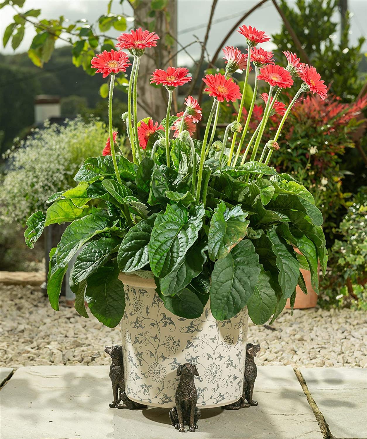 Sitting Labrador Plant Pot Feet