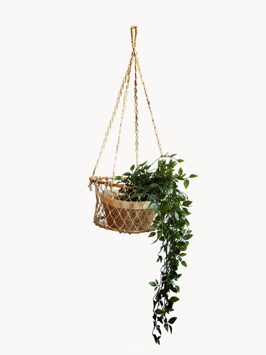 The Jhuri Single Hanging Basket, crafted from natural jute by Fair Trade artisans, cradles a lush plant with trailing green leaves against a plain white background, beautifully combining elegance and sustainability.