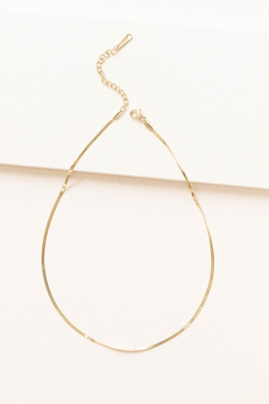 Two Snake Chain Necklaces, 14k gold plated with simple chain links, made from durable stainless steel, are laid flat on a white background.