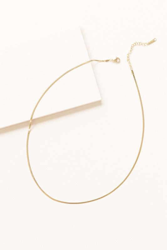 Two Snake Chain Necklaces, 14k gold plated with simple chain links, made from durable stainless steel, are laid flat on a white background.