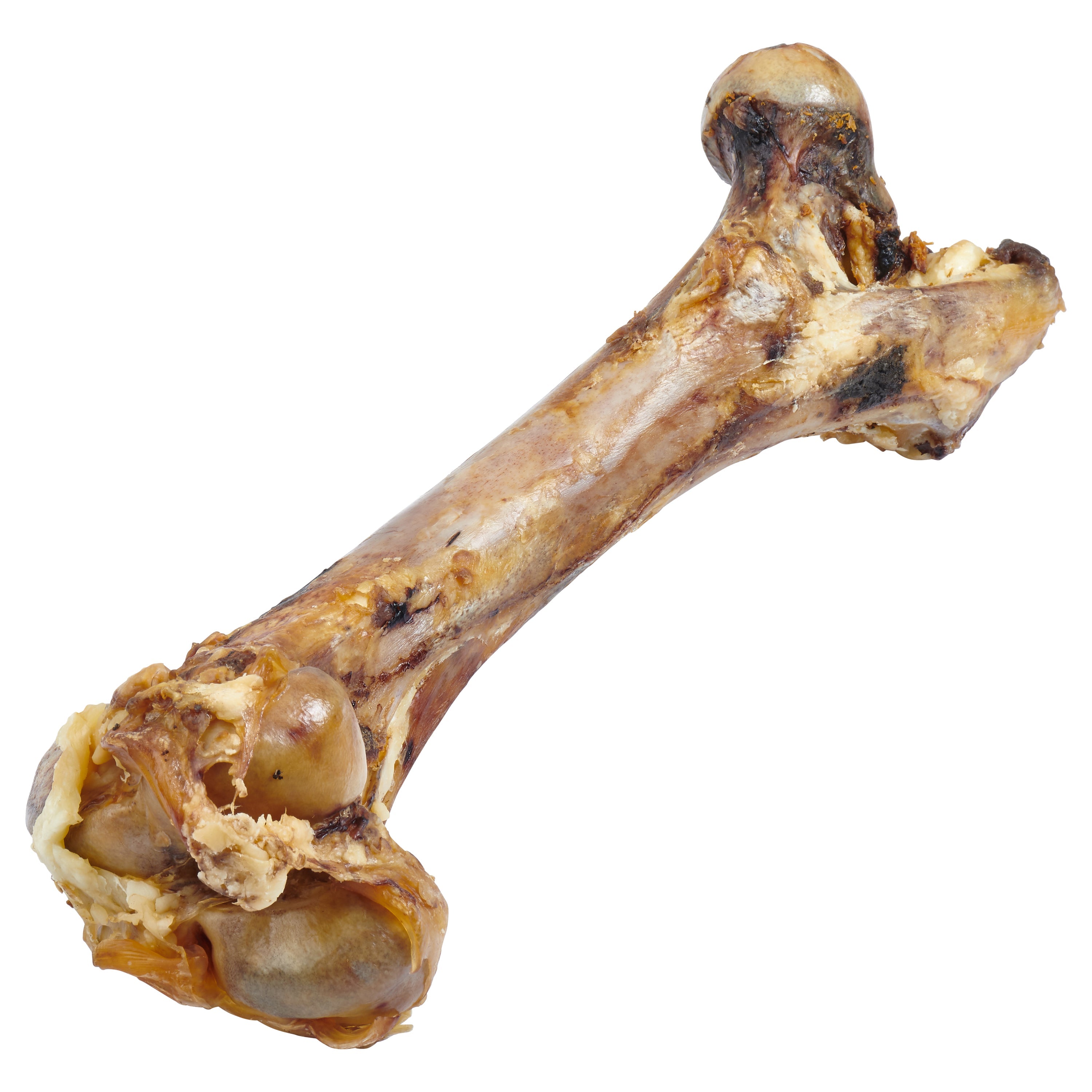 A large, natural treat for large dogs, the Giant Dog Bone - Grass-Fed Beef Femur Bone for Large Dogs is showcased against a plain white background with the brand logo above. Made from grass-fed cattle, this bone promises a delicious and nutritious snack for your furry friend.