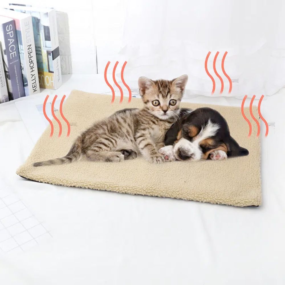 A cat and kitten luxuriously lounging on top of a Self Warming Fleece Pet Mat during cold weather.