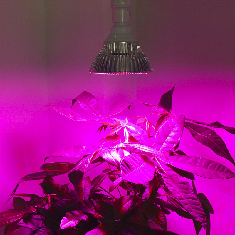 50W E27 Full Spectrum LED Plant Growth Lamp for Indoor Plant System_5