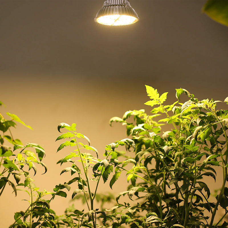 120W E27 Warm Full Spectrum LED Grow Light Bulb for Indoor Plant System_12