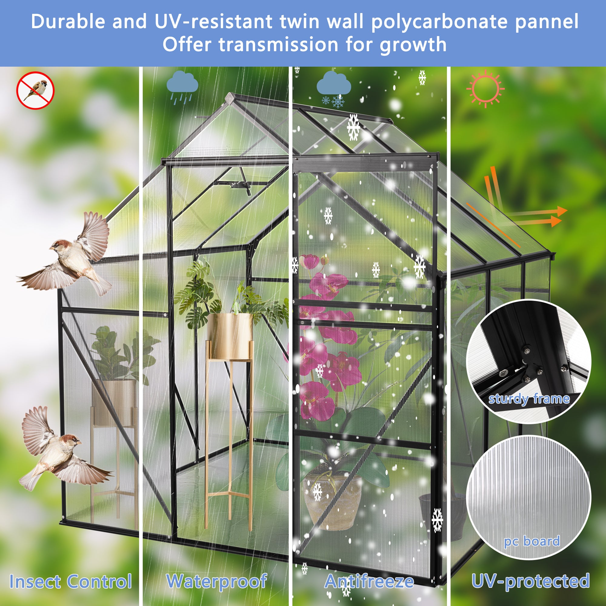 6X6FT Polycarbonate Walk-in Greenhouse Garden for Backyard Planting- Black_2