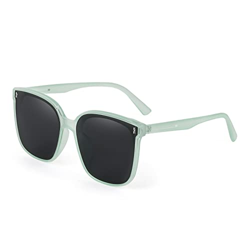 A pair of FEISEDY Women Oversized Vintage Polarized Sunglasses Square Cute Trendy Classic Simple Men B2758 with dark lenses and thin arms.