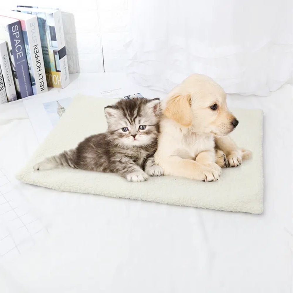 A cat and kitten luxuriously lounging on top of a Self Warming Fleece Pet Mat during cold weather.