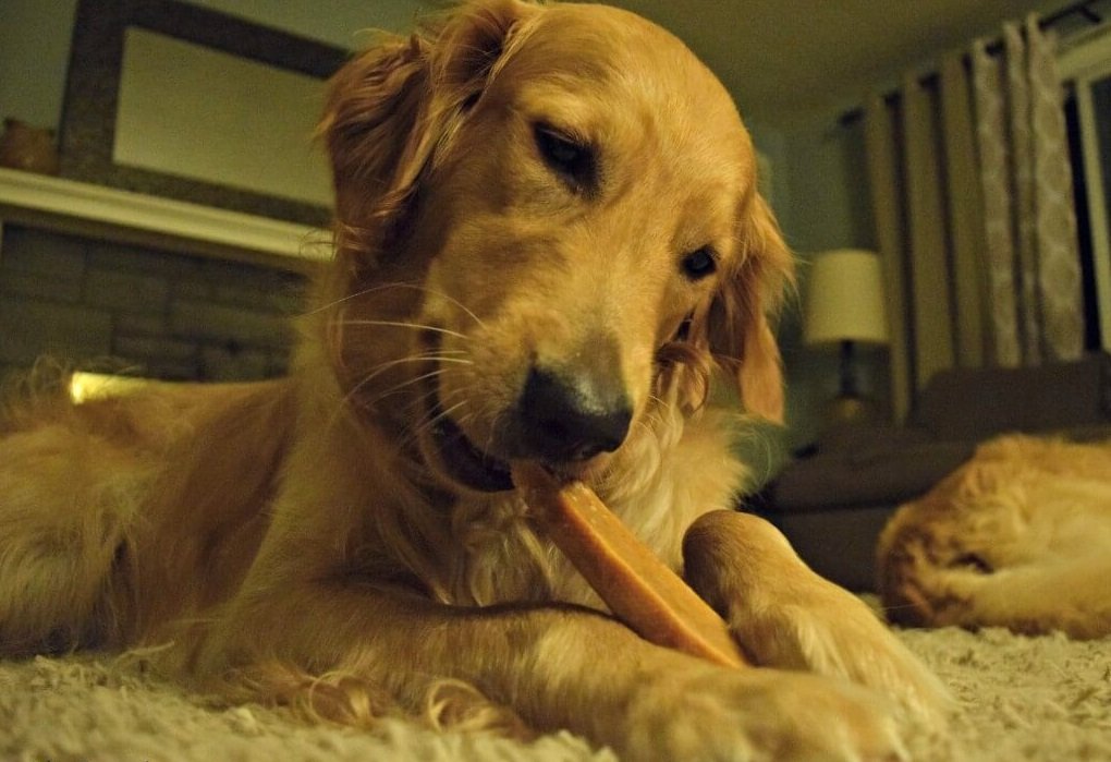 Packaging of Gold Yak Chews for Large Dogs with a stack of Himalayan Yak Milk chews beside it.