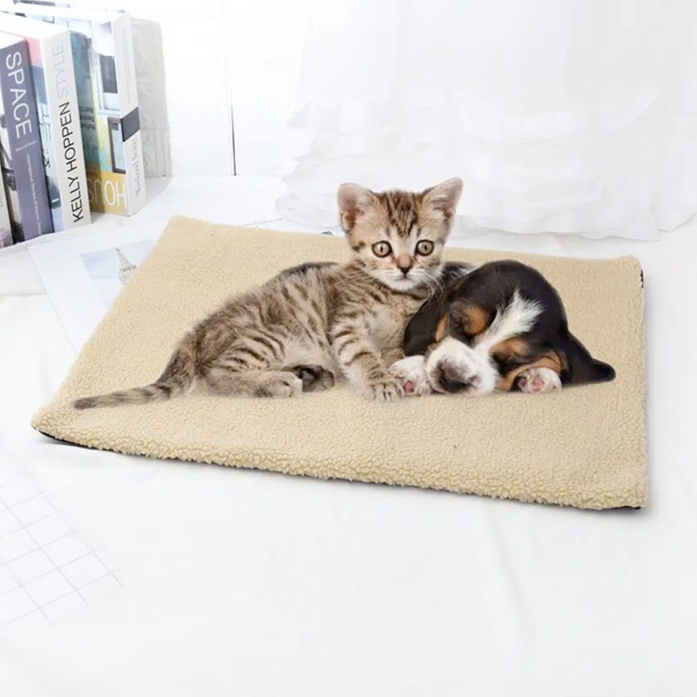 A cat and kitten luxuriously lounging on top of a Self Warming Fleece Pet Mat during cold weather.