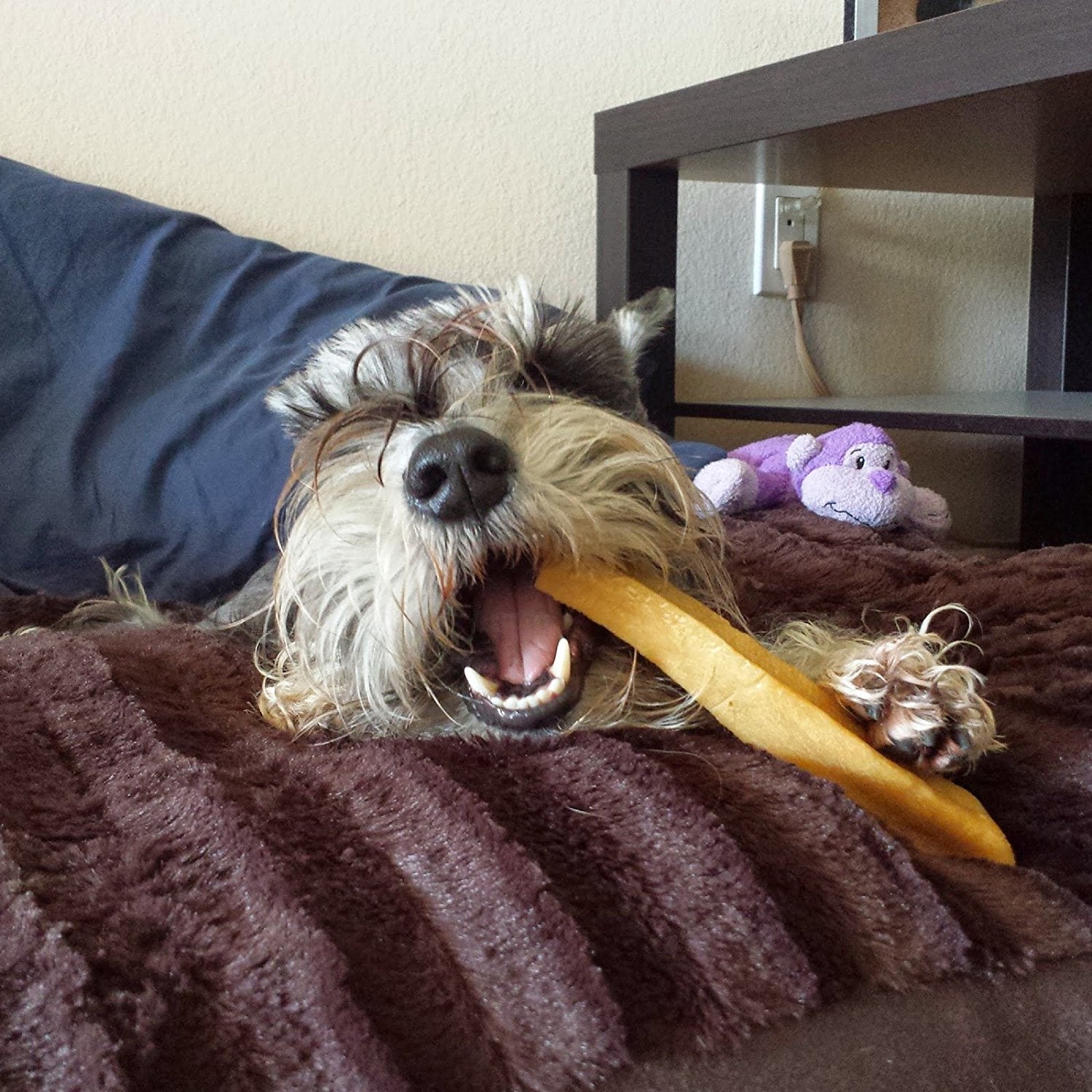 Packaging of Gold Yak Chews for Large Dogs with a stack of Himalayan Yak Milk chews beside it.