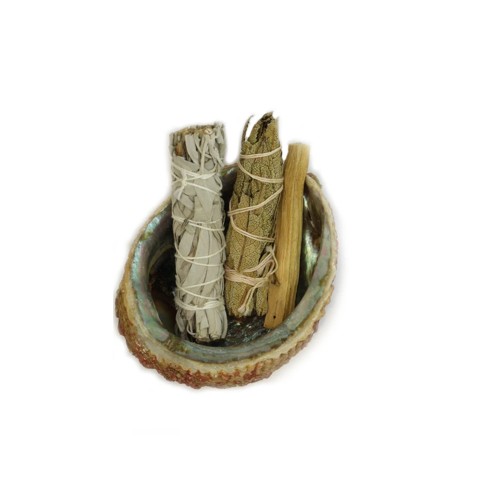 The Smudge Ash Tray Burner in a large 5"-6" abalone shell, with its polished inner surface showcasing iridescent blues, greens, and purples, serves as a stunning centerpiece for smudging rituals with white sage.