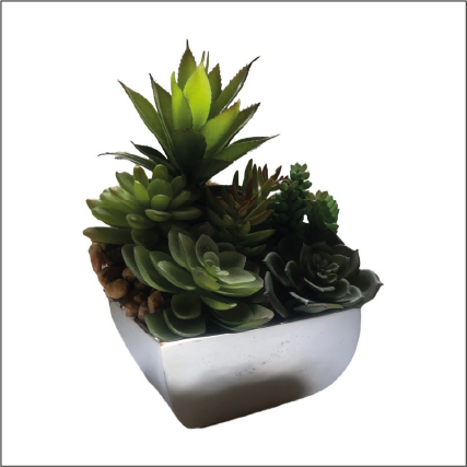 An array of green succulents flourishes in a Decorative Flower Vase, artistically crafted from recycled aluminum alloy, against a white background.