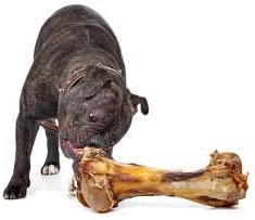 A large, natural treat for large dogs, the Giant Dog Bone - Grass-Fed Beef Femur Bone for Large Dogs is showcased against a plain white background with the brand logo above. Made from grass-fed cattle, this bone promises a delicious and nutritious snack for your furry friend.