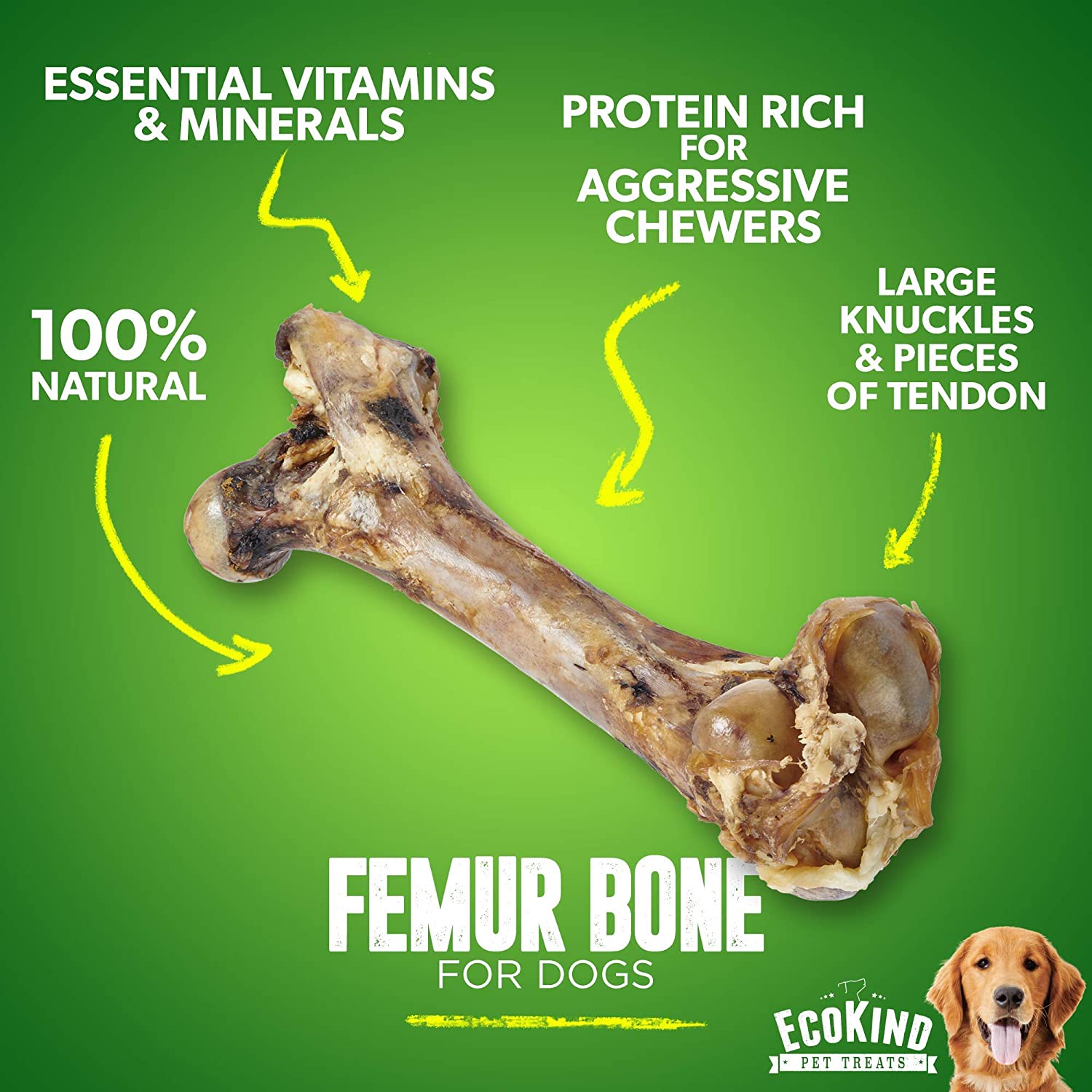 A large, natural treat for large dogs, the Giant Dog Bone - Grass-Fed Beef Femur Bone for Large Dogs is showcased against a plain white background with the brand logo above. Made from grass-fed cattle, this bone promises a delicious and nutritious snack for your furry friend.