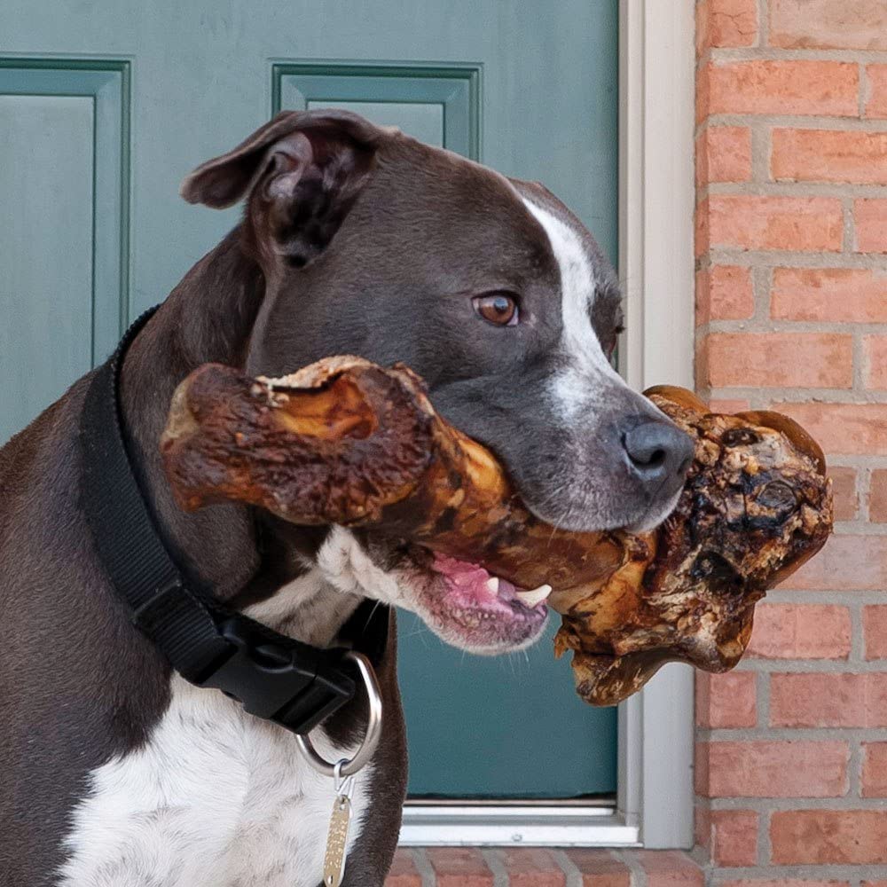 A large, natural treat for large dogs, the Giant Dog Bone - Grass-Fed Beef Femur Bone for Large Dogs is showcased against a plain white background with the brand logo above. Made from grass-fed cattle, this bone promises a delicious and nutritious snack for your furry friend.