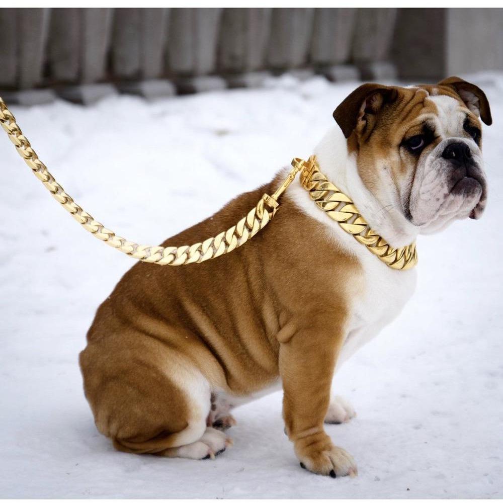 A French bulldog wearing a Kilo Cuban Link leash sits beside a person's leg, wearing blue and white sneakers, on a concrete path.