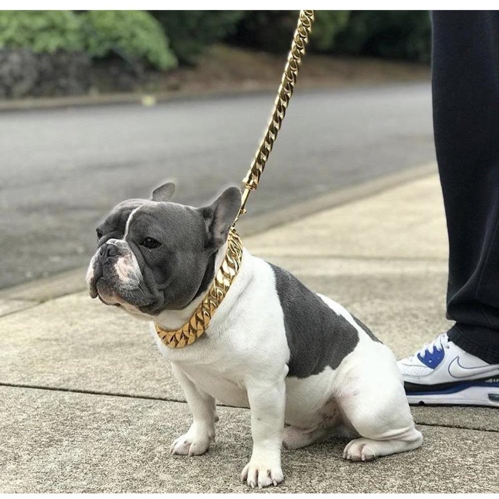 A French bulldog wearing a Kilo Cuban Link leash sits beside a person's leg, wearing blue and white sneakers, on a concrete path.
