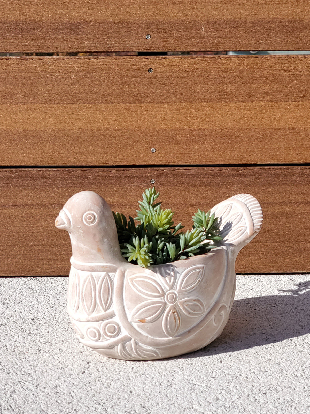 The Terracotta Pot - Spotted Dove is a whimsically crafted ceramic planter shaped like a bird, featuring detailed carved patterns on its body and tail. Made by Fair Trade artisans, it brings a delightful touch to any garden display.