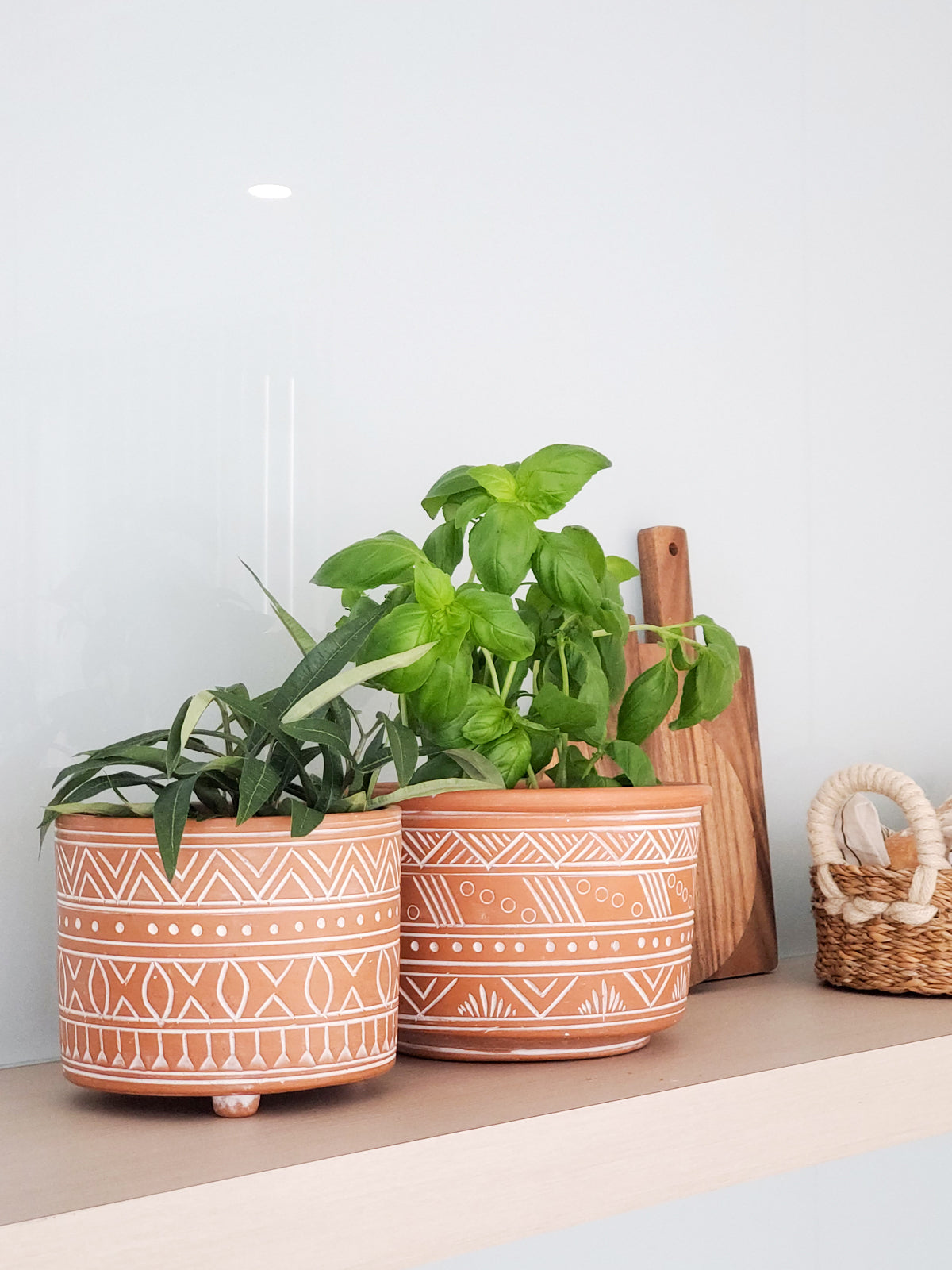 The Hand Etched Terracotta Pot - Large features a stunning artisan-inspired design, highlighted by intricate white geometric and floral patterns against a plain backdrop.