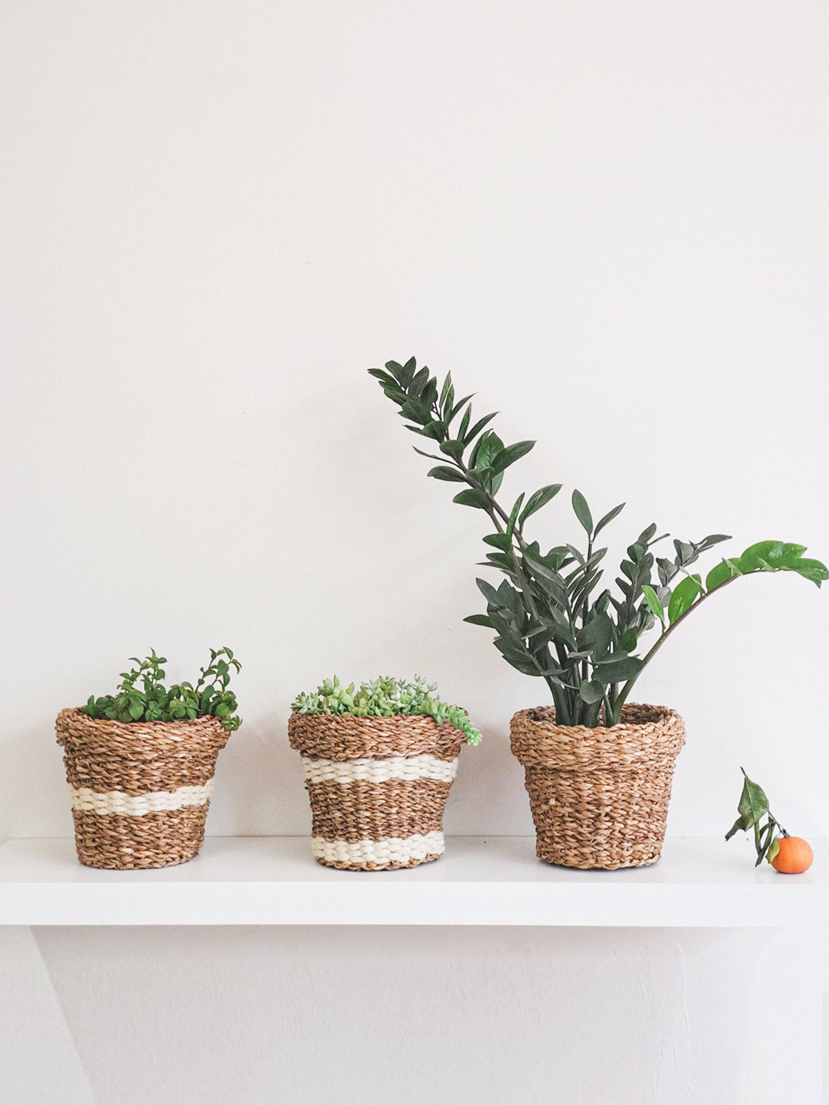 Three Savar Nesting Plant Baskets, crafted by Fair Trade artisans, feature white stripe accents. Two are stacked upright while one lies sideways on a plain background, showcasing their sustainable beauty.