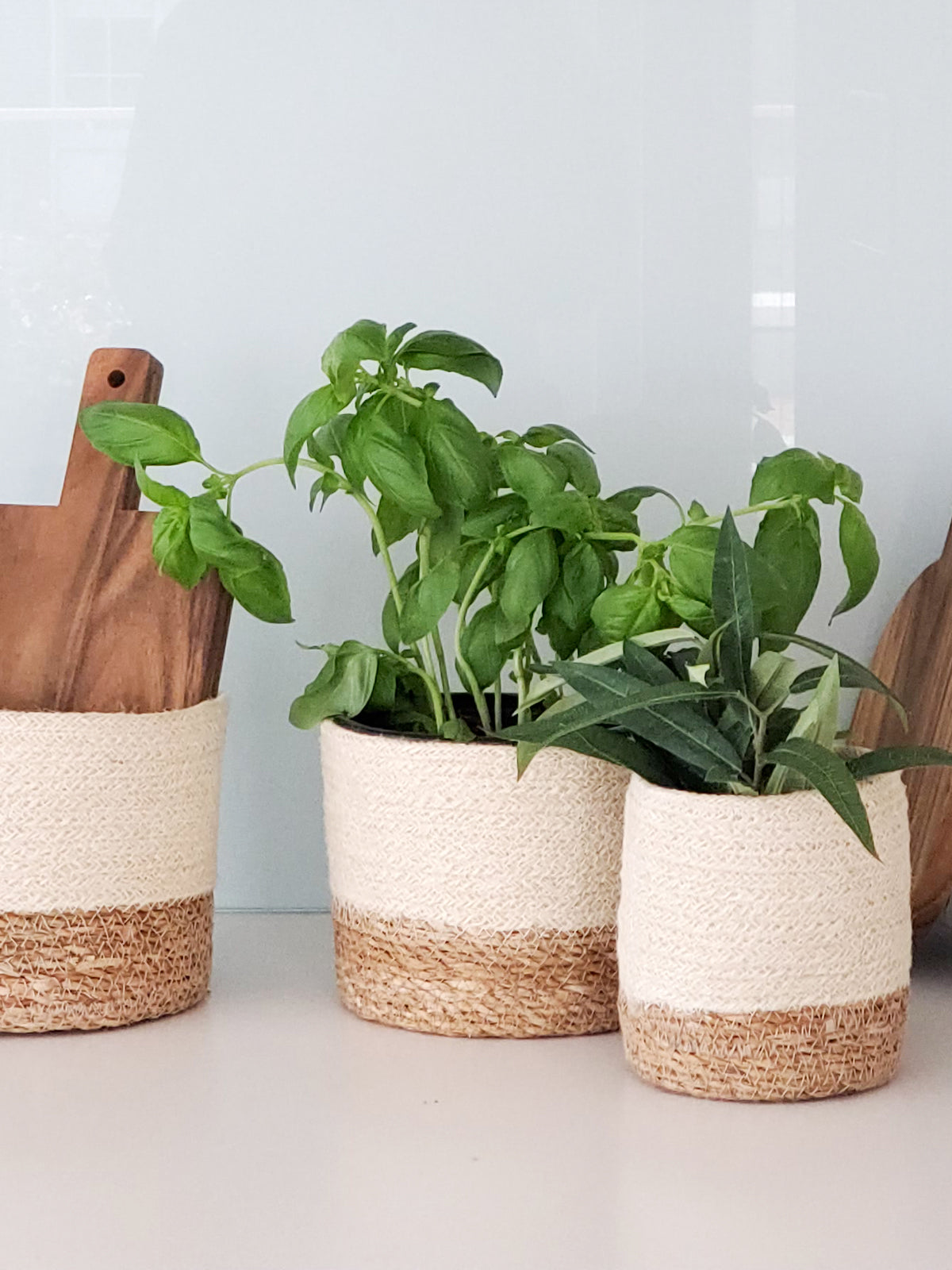 Three Savar Bins, woven sustainably by Fair Trade artisans in varying sizes, each featuring a beige upper half and a brown lower half, are arranged in a row.