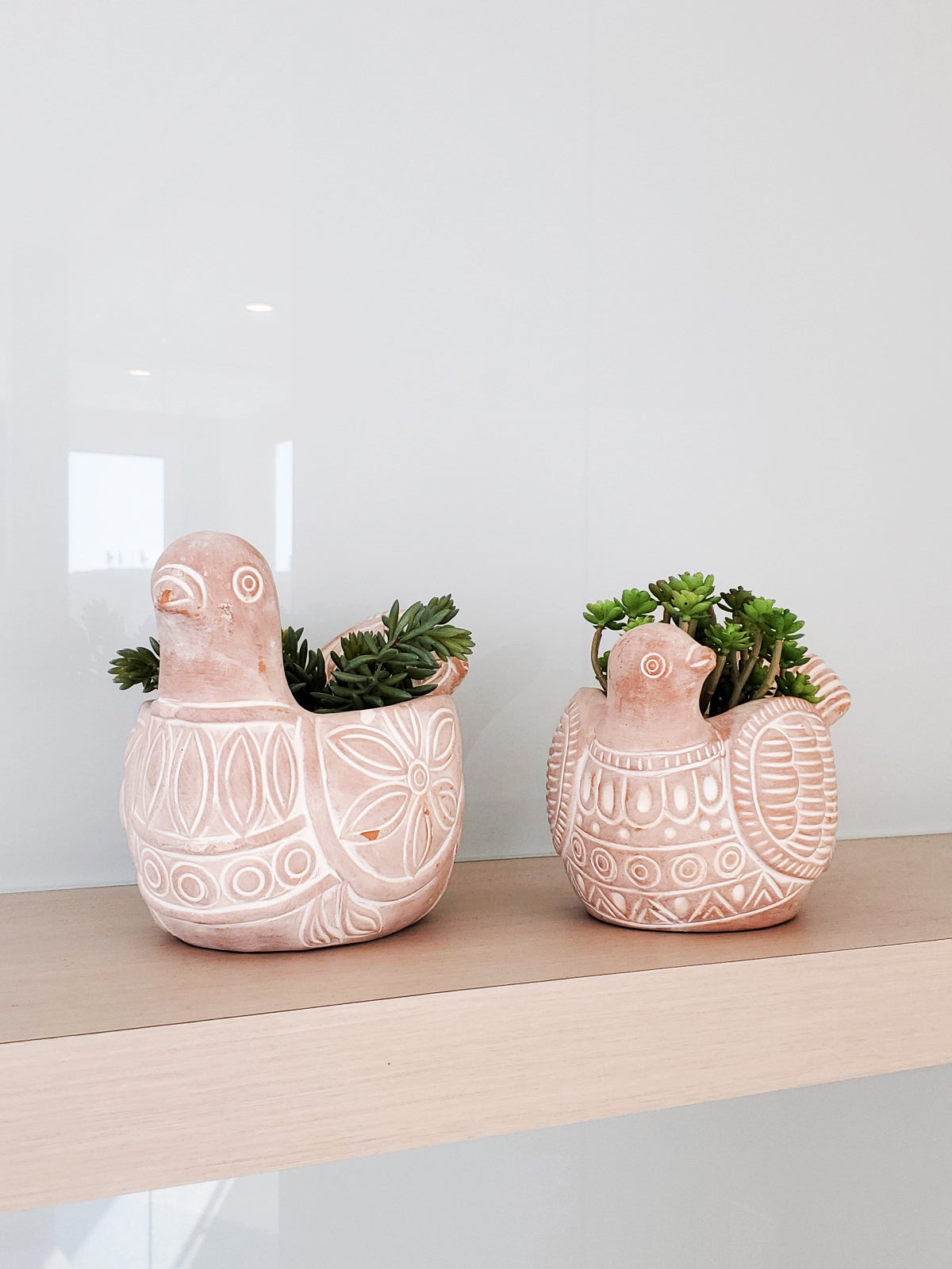 The Terracotta Pot - Spotted Dove is a whimsically crafted ceramic planter shaped like a bird, featuring detailed carved patterns on its body and tail. Made by Fair Trade artisans, it brings a delightful touch to any garden display.