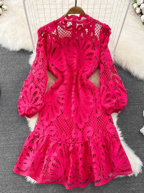 Vintage Hollow Out Lace Floral Embroidery Dress For Women Spring Stand
