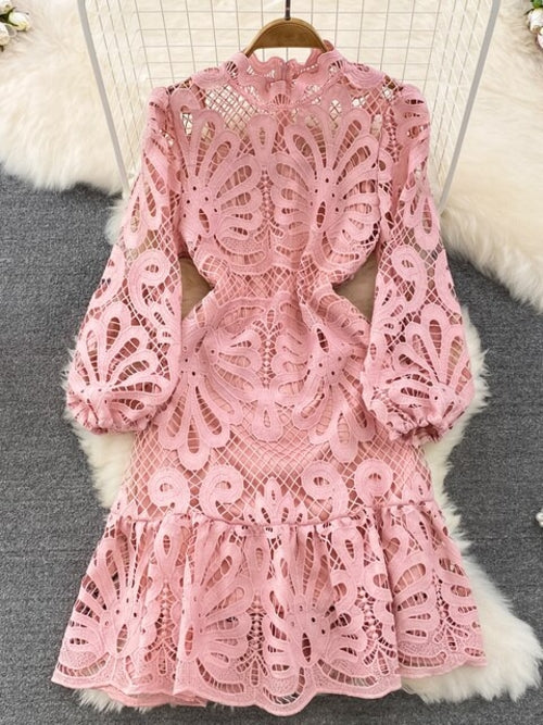 Vintage Hollow Out Lace Floral Embroidery Dress For Women Spring Stand