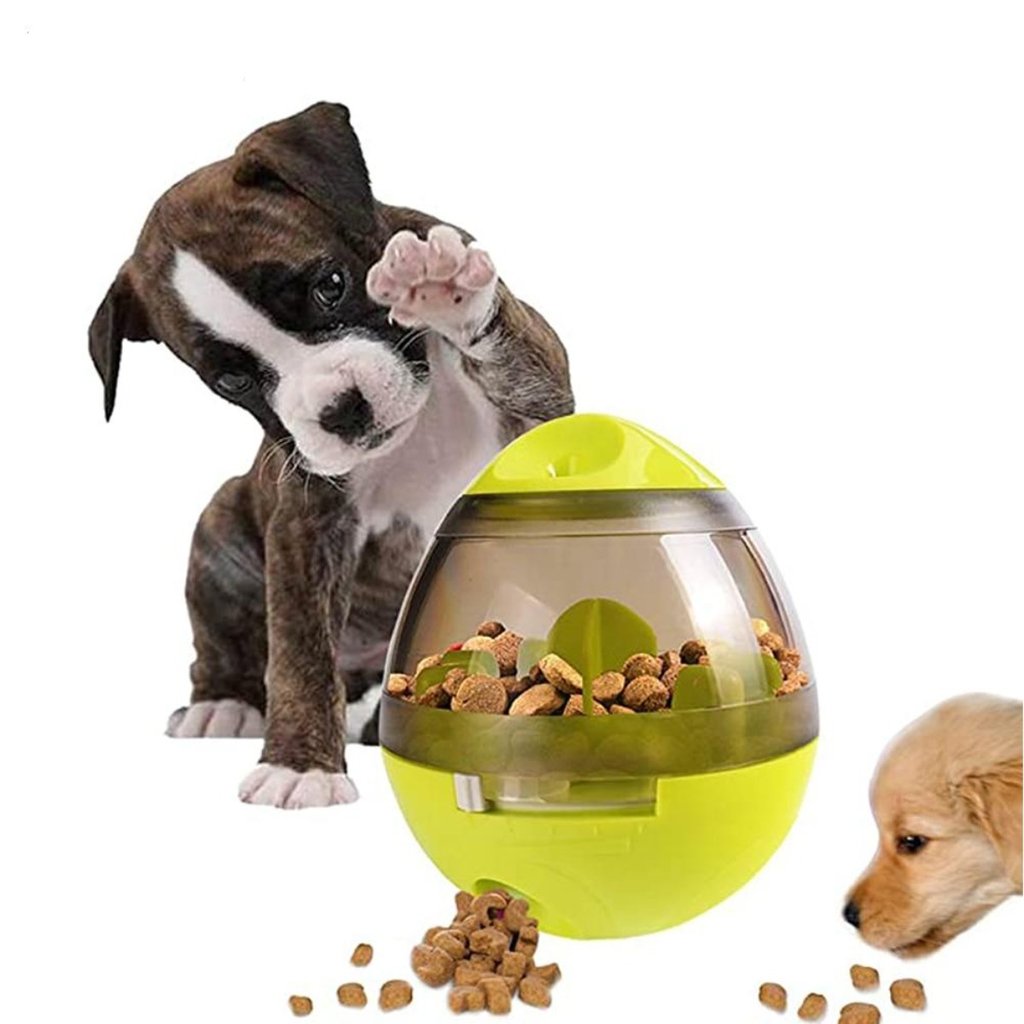 Two dogs are playing with a Dogs and Cats Food Dispenser Tumbler.
