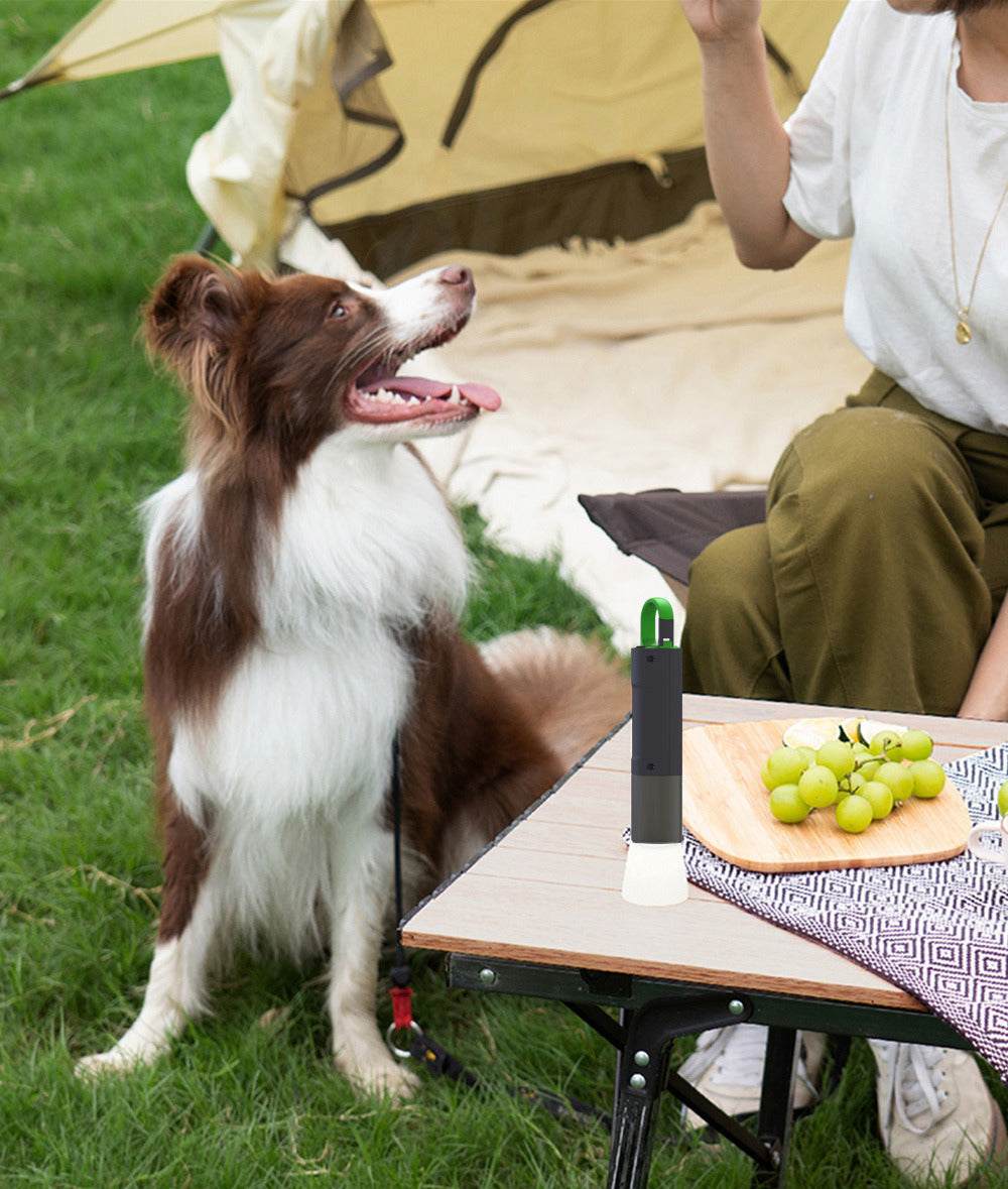 Two modern portable Flash Flashlights with built-in radios and USB fast direct charging ports, one displayed open to show the radio, both emitting light from their bases.