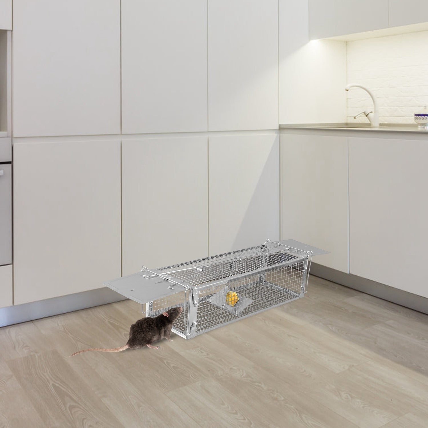 A rat approaching a Dual Door Rat Trap Cage Humane Live Rodent Dense Mesh Trap Cage Zinc Electroplating Mice Mouse Control Bait Catch with 2 Detachable U Shaped Rod, on a plain white background.
