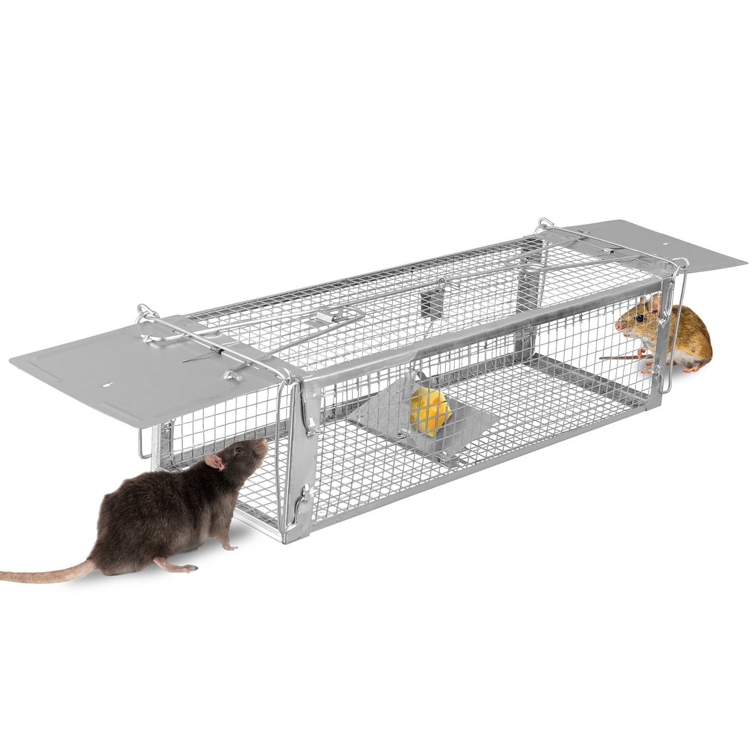 A rat approaching a Dual Door Rat Trap Cage Humane Live Rodent Dense Mesh Trap Cage Zinc Electroplating Mice Mouse Control Bait Catch with 2 Detachable U Shaped Rod, on a plain white background.