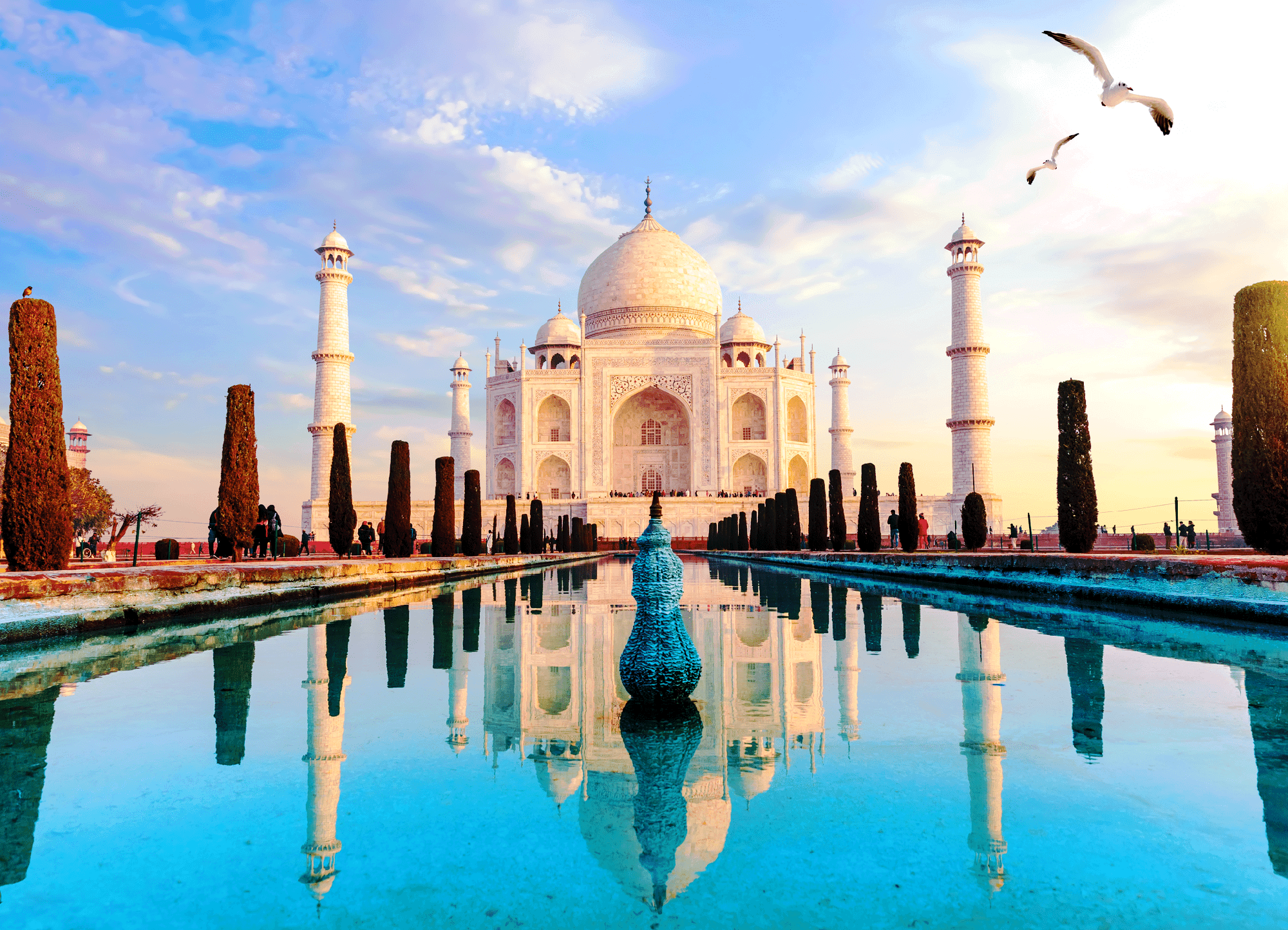A Taj Mahal Jigsaw Puzzles 1000 Piece featuring an image of the Taj Mahal with reflections in water, labeled "1000 pieces" and branded by Brain Tree.