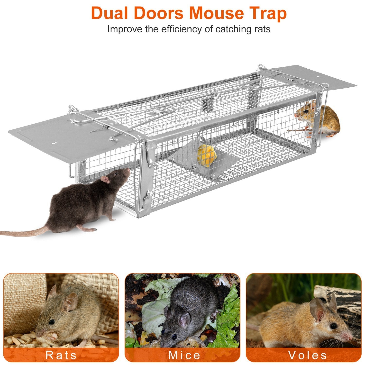 A rat approaching a Dual Door Rat Trap Cage Humane Live Rodent Dense Mesh Trap Cage Zinc Electroplating Mice Mouse Control Bait Catch with 2 Detachable U Shaped Rod, on a plain white background.
