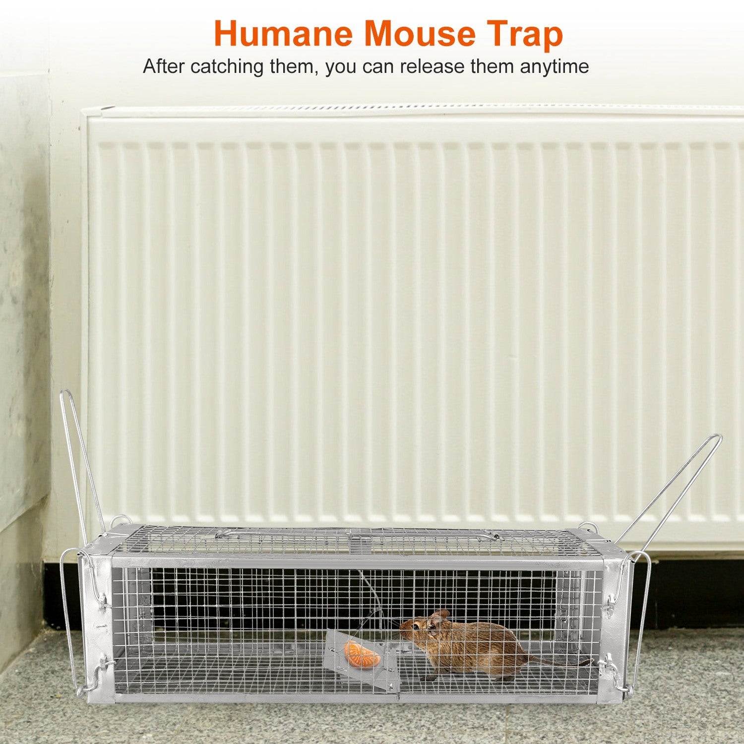 A rat approaching a Dual Door Rat Trap Cage Humane Live Rodent Dense Mesh Trap Cage Zinc Electroplating Mice Mouse Control Bait Catch with 2 Detachable U Shaped Rod, on a plain white background.