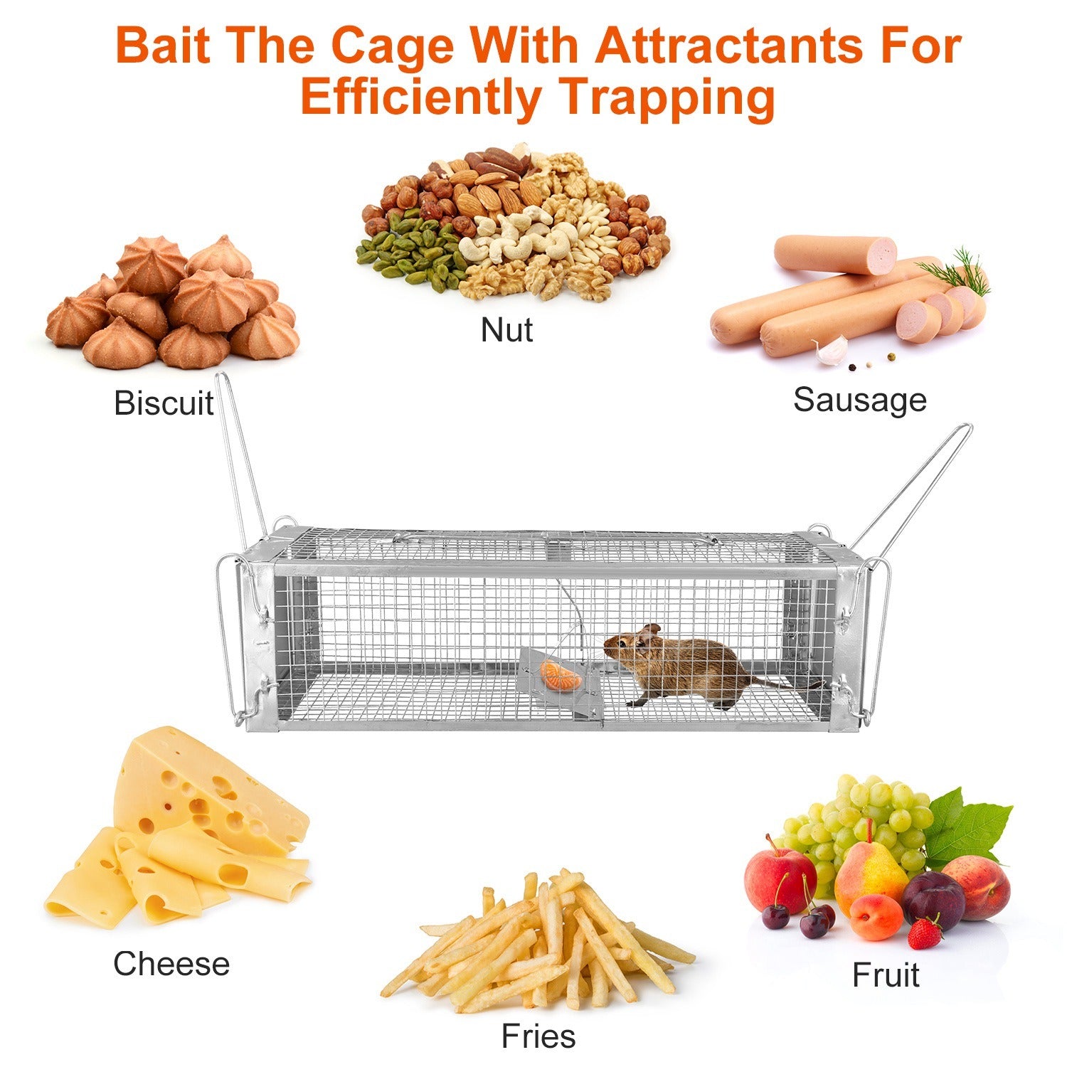 A rat approaching a Dual Door Rat Trap Cage Humane Live Rodent Dense Mesh Trap Cage Zinc Electroplating Mice Mouse Control Bait Catch with 2 Detachable U Shaped Rod, on a plain white background.