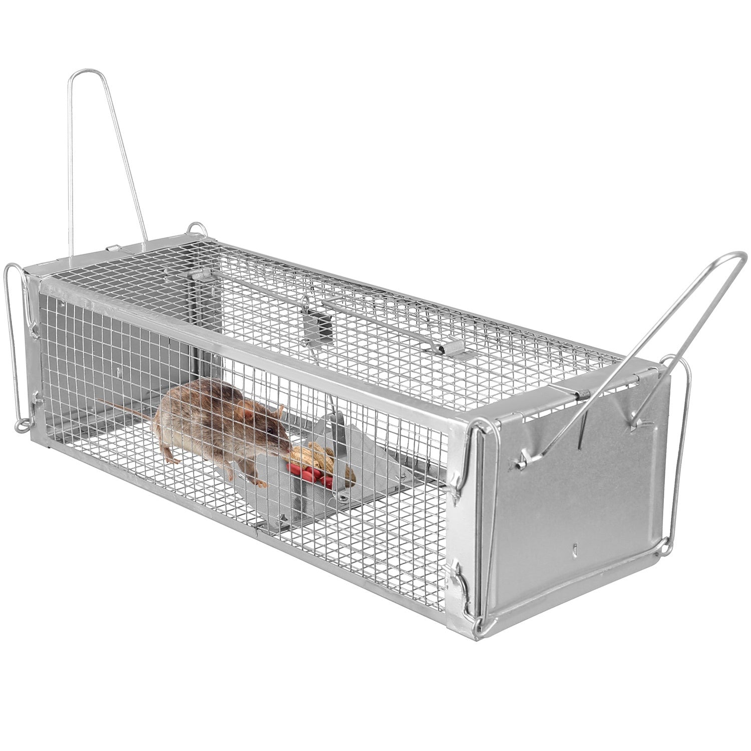 A rat approaching a Dual Door Rat Trap Cage Humane Live Rodent Dense Mesh Trap Cage Zinc Electroplating Mice Mouse Control Bait Catch with 2 Detachable U Shaped Rod, on a plain white background.