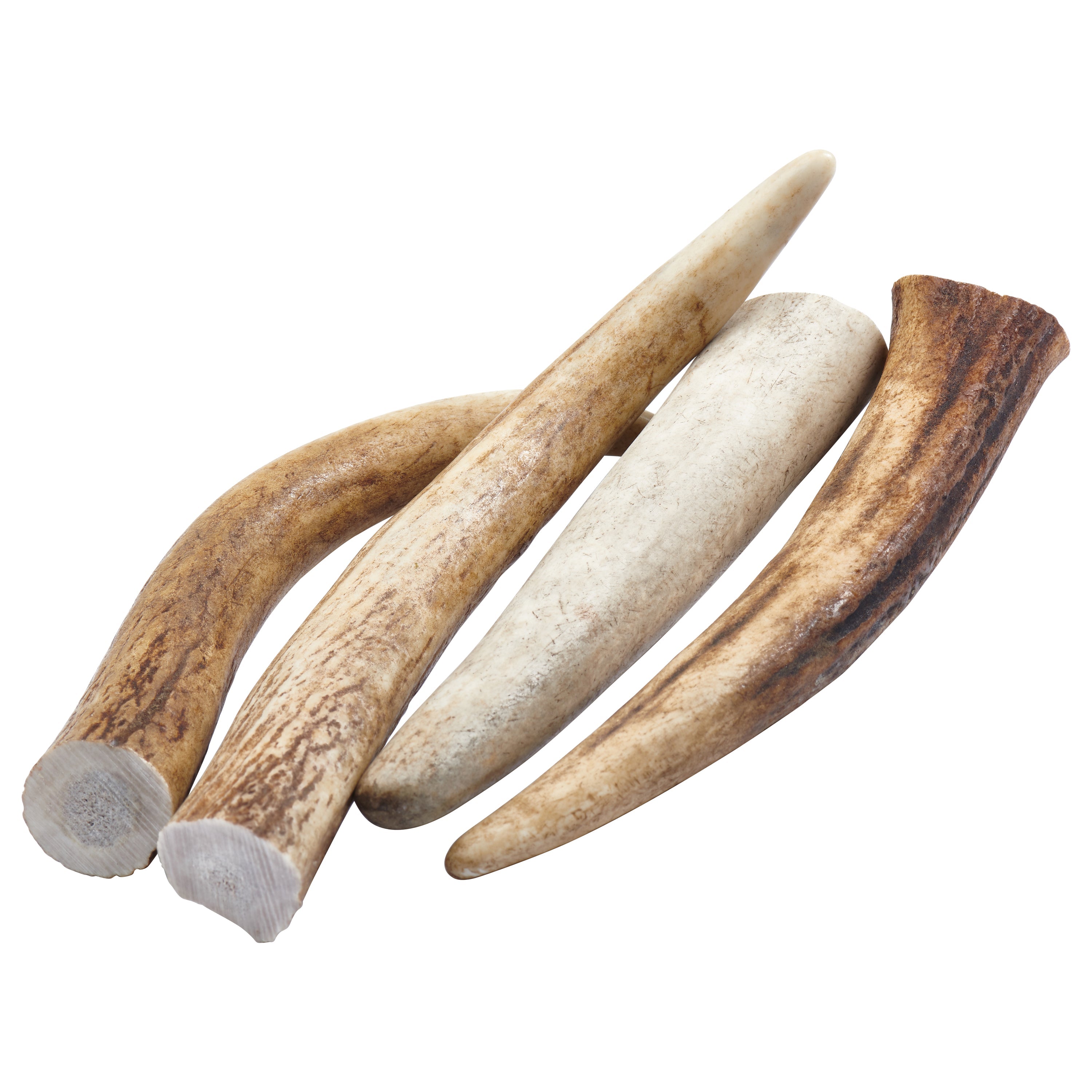 The packaging for Elk Antler Tips Dog Chews, proudly labeled "100% natural," displays a cheerful dog and highlights four Natural Dog Chews crafted from Elk Antler Tips. These chews are perfect for boosting dental health while providing a delightful treat for your beloved pet.