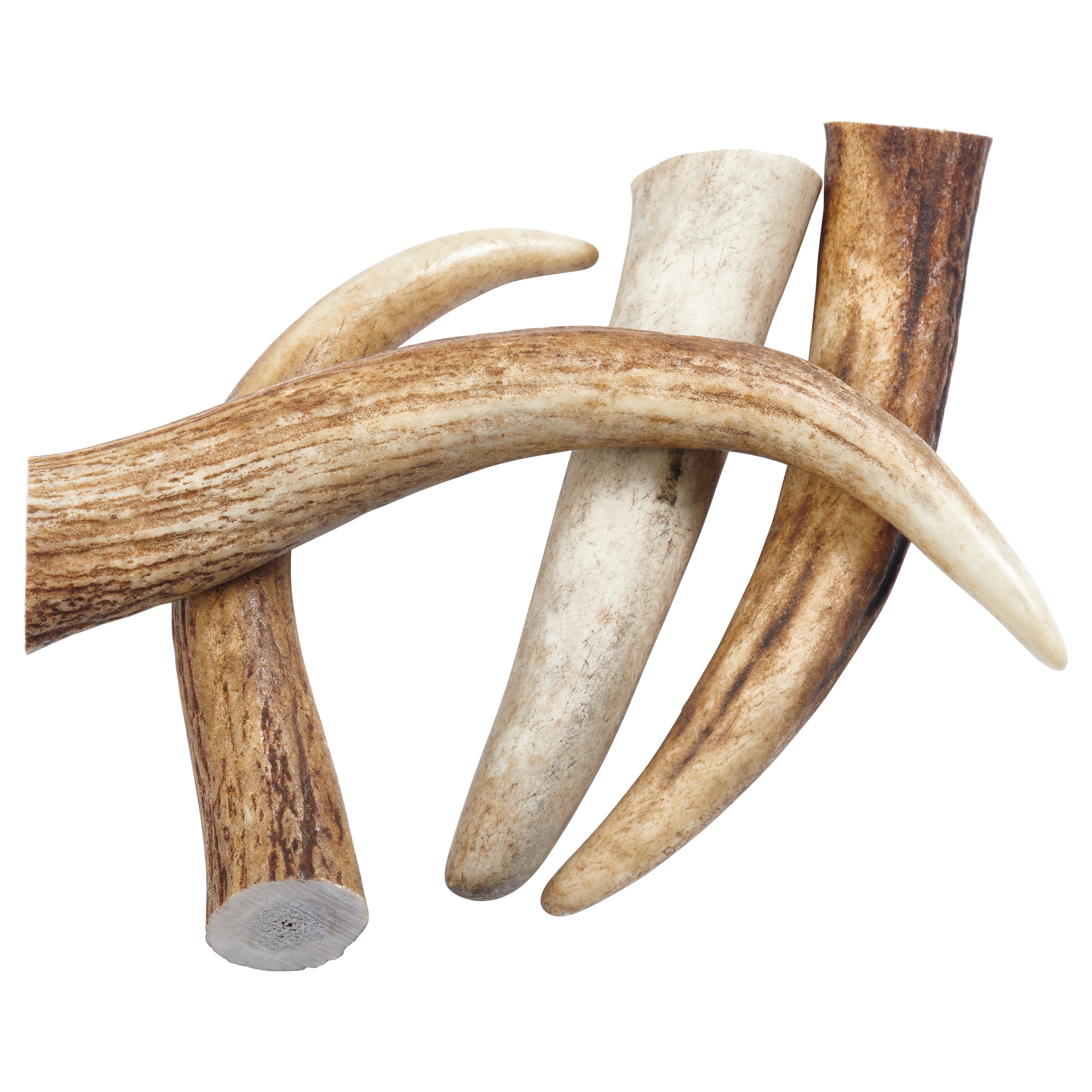 The packaging for Elk Antler Tips Dog Chews, proudly labeled "100% natural," displays a cheerful dog and highlights four Natural Dog Chews crafted from Elk Antler Tips. These chews are perfect for boosting dental health while providing a delightful treat for your beloved pet.